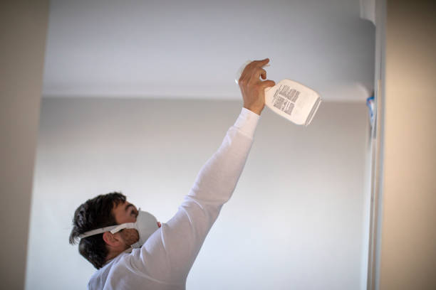 Best Mold Removal Near Me  in Concord, MI