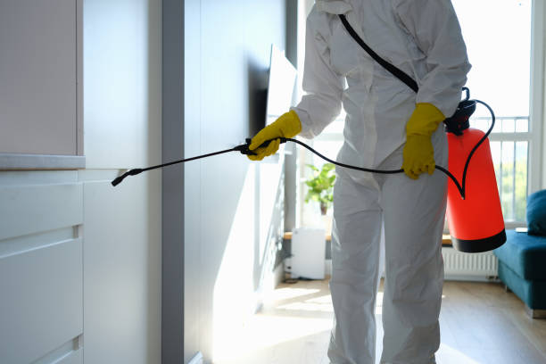 Best Office Mold Removal Services  in Concord, MI