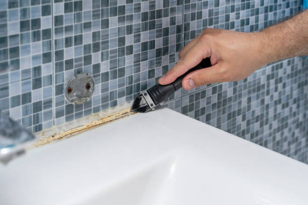 Concord, MI Mold Removal Company