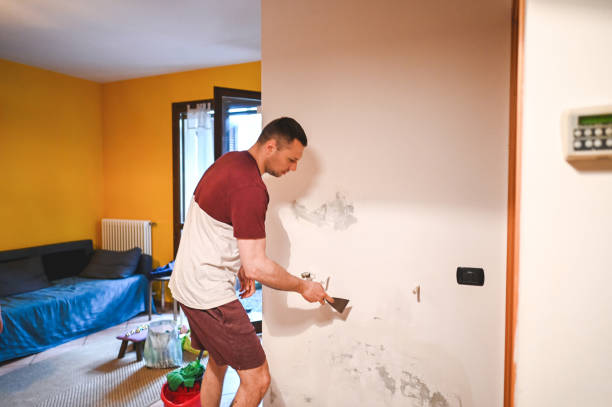 Best Mold Testing  in Concord, MI